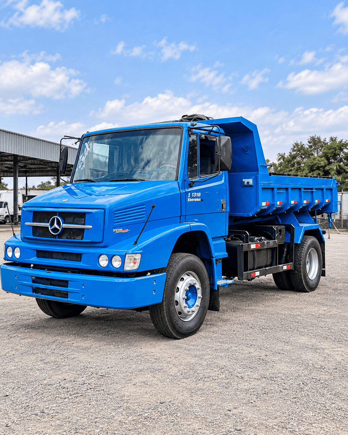Caminhão Mercedes-Benz 1318 Eletrônico 4x2 2010